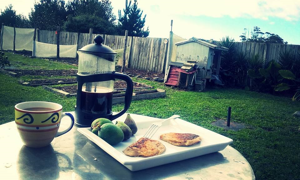 Colazione all'aperto in campagna