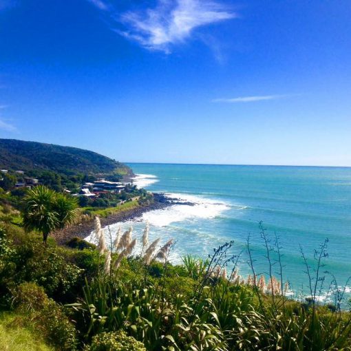 Il Surf spot di Indicators. Raglan, Nuova Zelanda