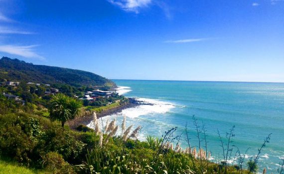 Il Surf spot di Indicators. Raglan, Nuova Zelanda