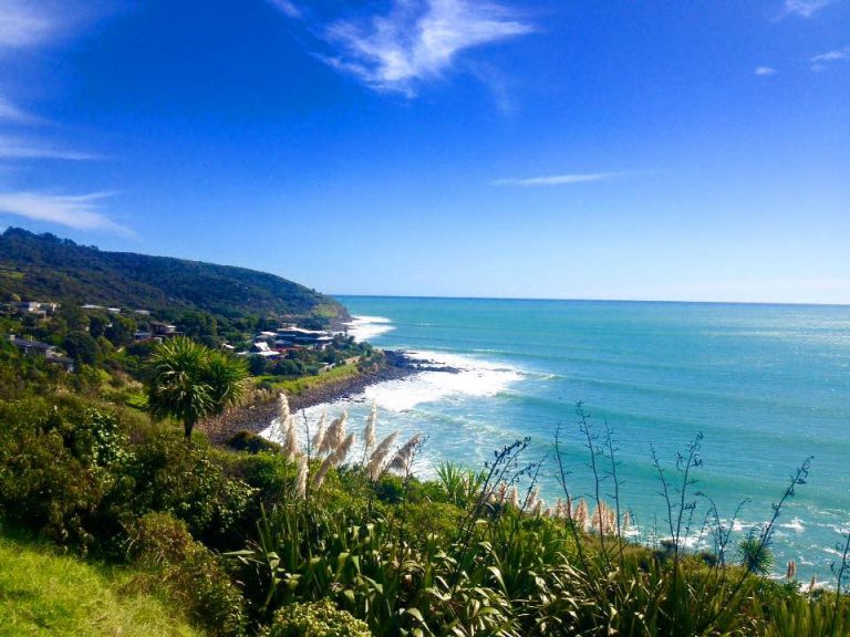 Il Surf spot di Indicators. Raglan, Nuova Zelanda